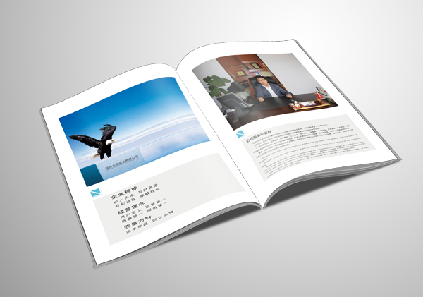 怎樣才是一本好的畫冊？