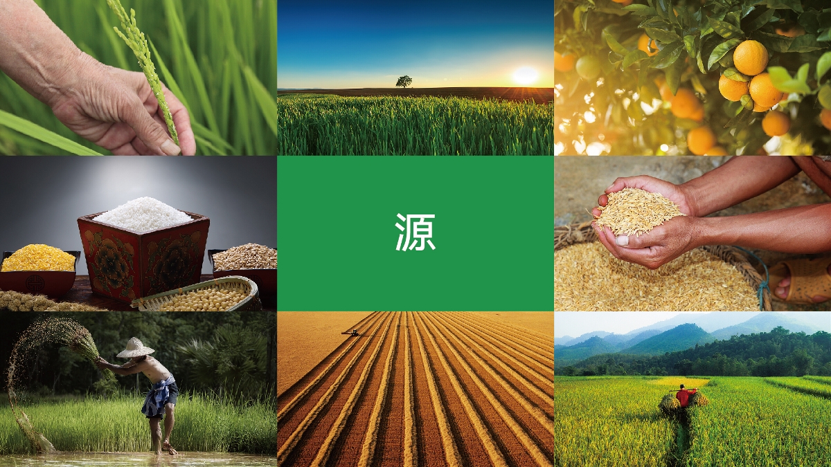 農(nóng)產(chǎn)品品牌設計技巧有哪些？怎樣塑造品牌形象