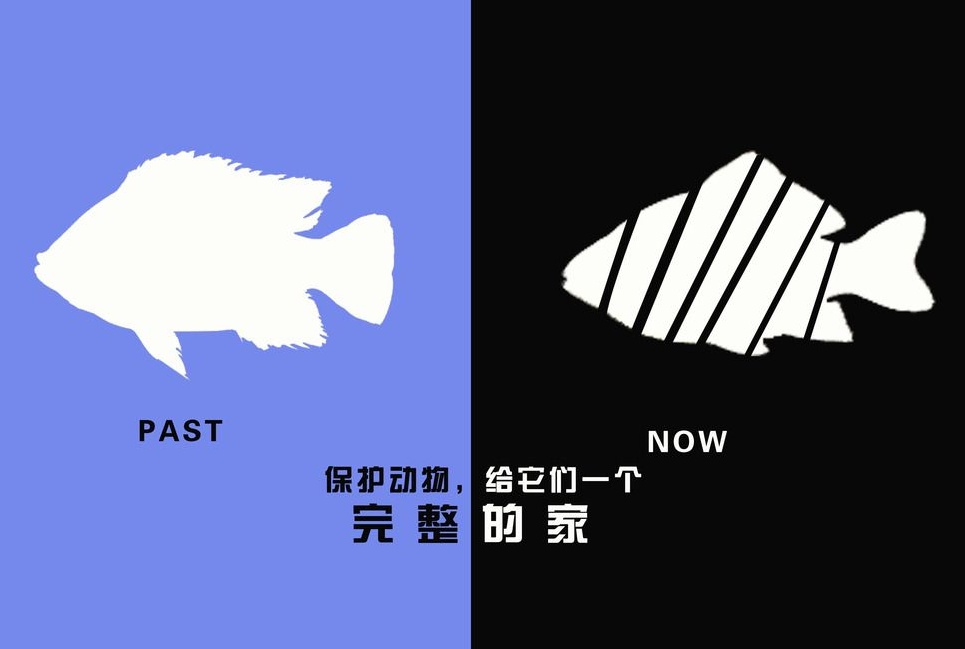 廣告設(shè)計(jì)制作有哪些要求？有哪些注意事項(xiàng)？
