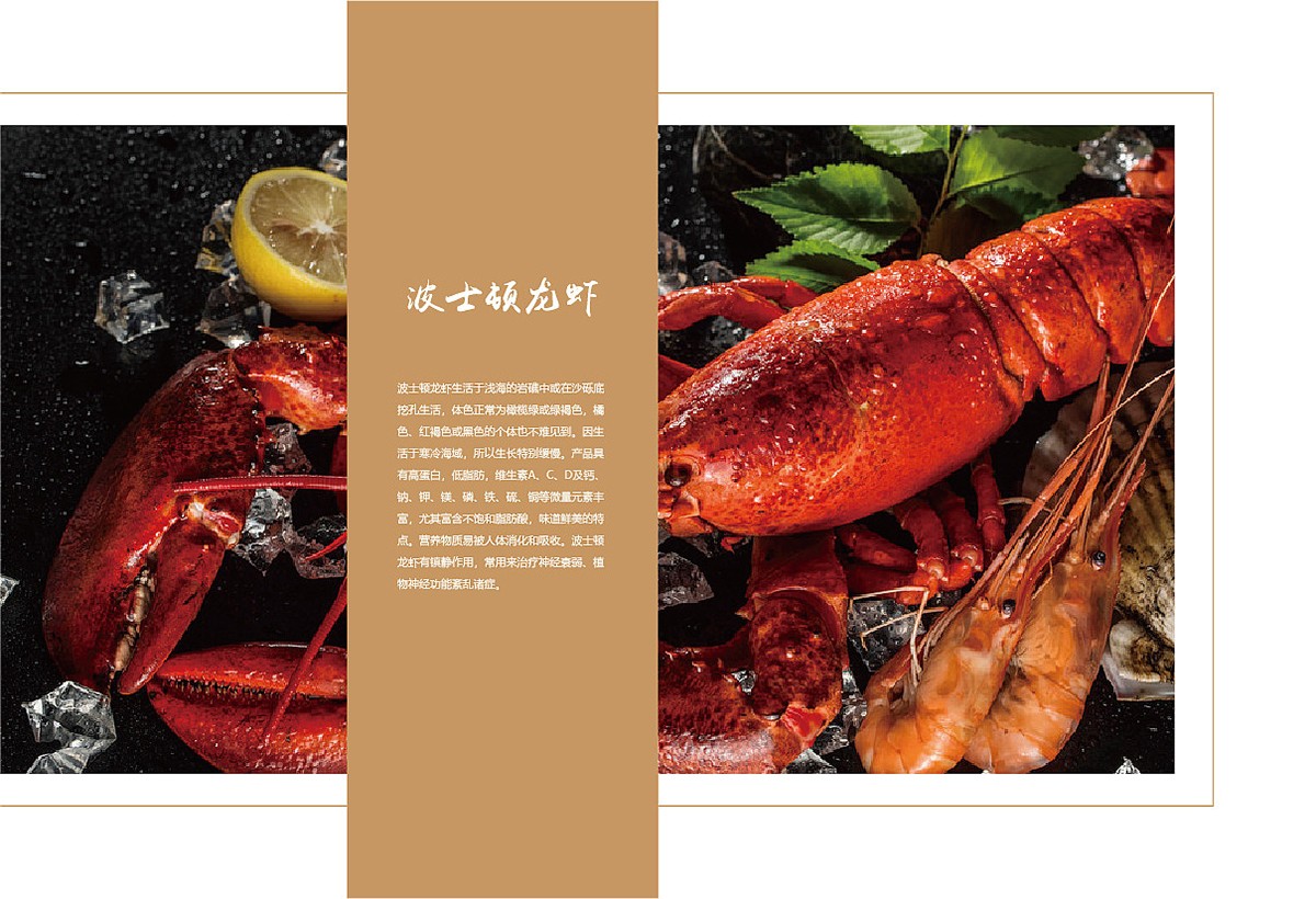 生鮮類產(chǎn)品宣傳冊設計,生鮮類產(chǎn)品宣傳冊設計公司