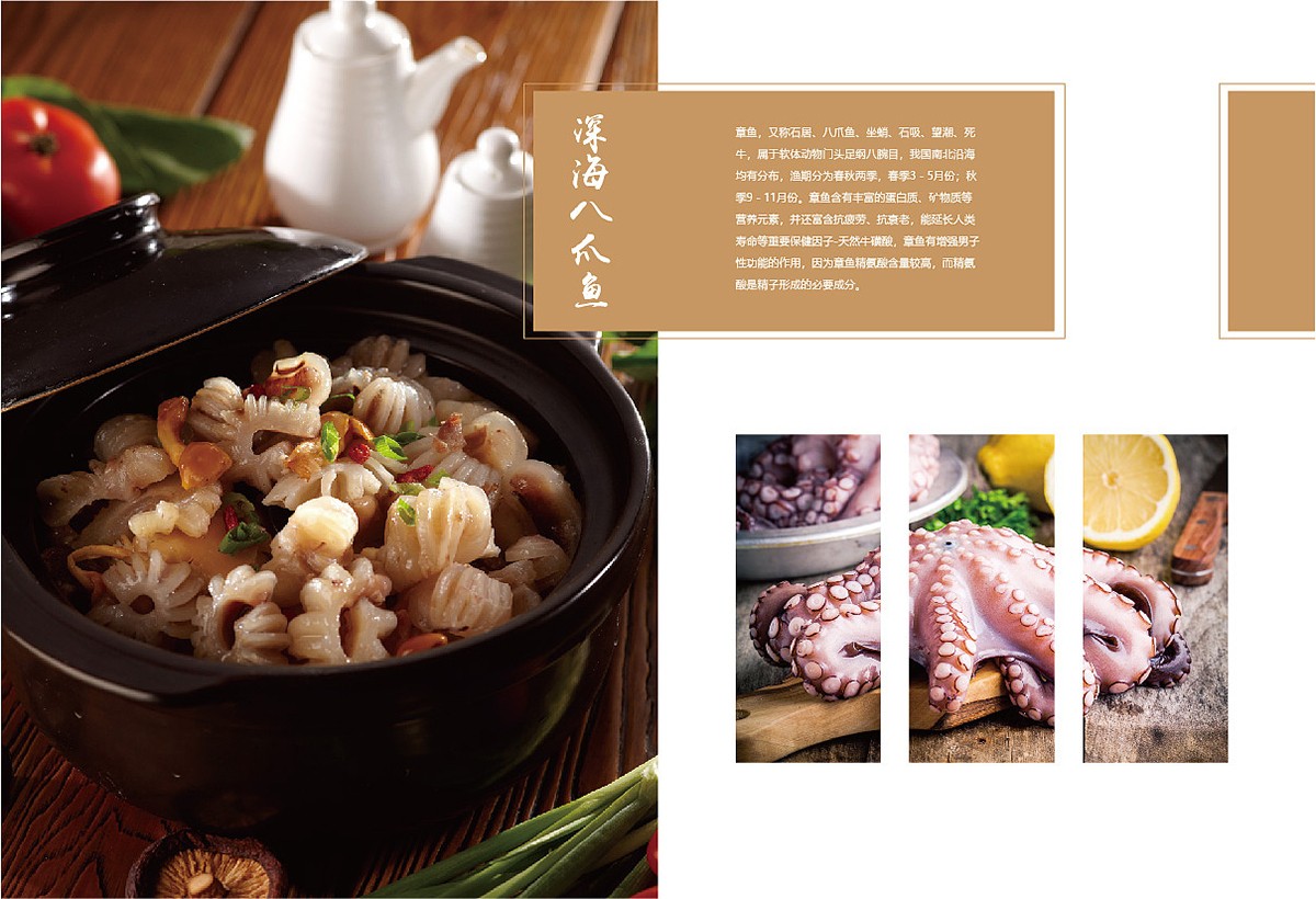 生鮮類產(chǎn)品宣傳冊設計,生鮮類產(chǎn)品宣傳冊設計公司
