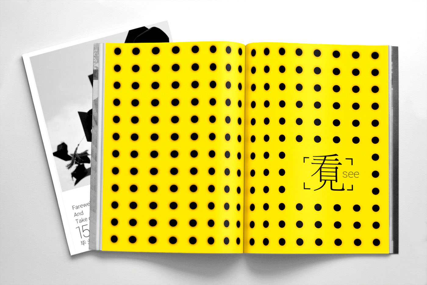 大學(xué)畢業(yè)紀(jì)念冊(cè)設(shè)計(jì)，畢業(yè)紀(jì)念冊(cè)設(shè)計(jì)公司