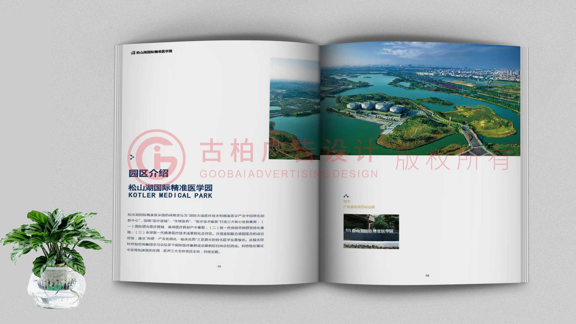 一本聚會紀(jì)念冊該如何通過排版來提升整體的美觀性？